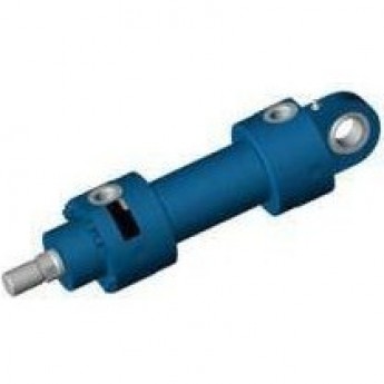 Дифференциальный цилиндр BOSCH REXROTH CDH1 7842